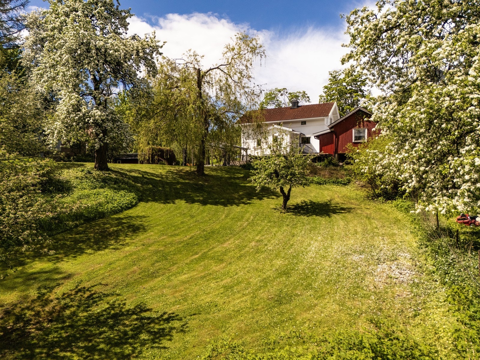 Den store tomten er pent opparbeidet med gressplen, beplantning og prydbusker i et skrånende terreng. Galleribilde