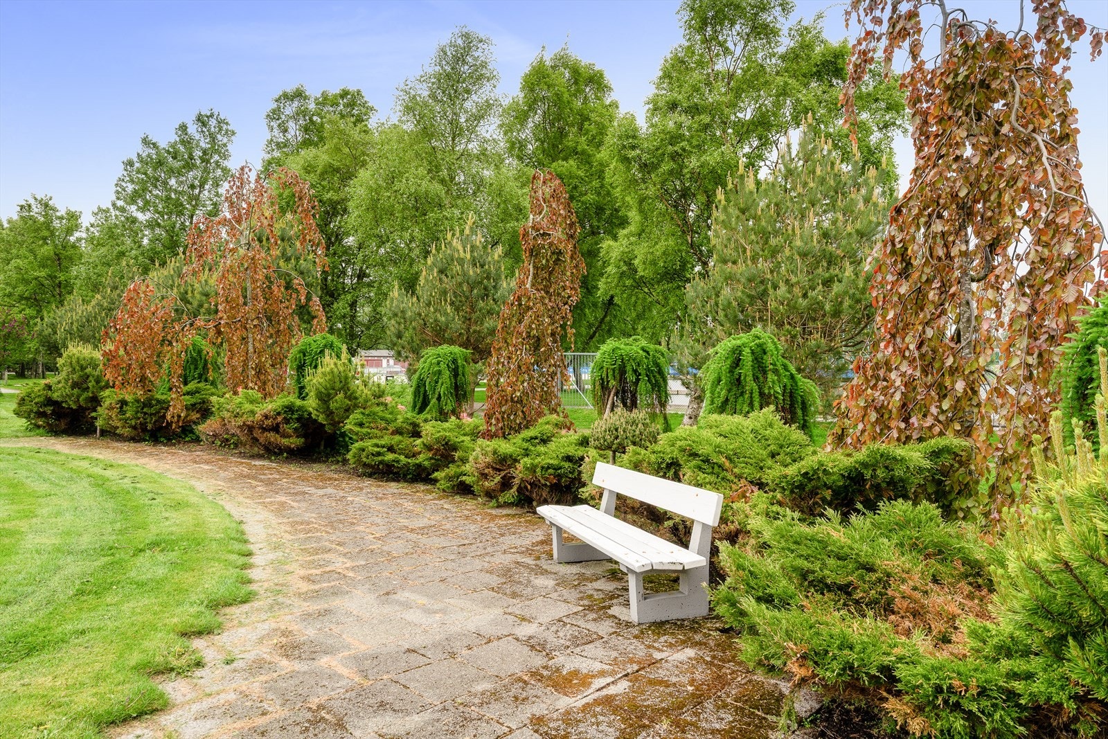 - Pent opparbeidet fellesområde med sittebenker og beplantning - Galleribilde
