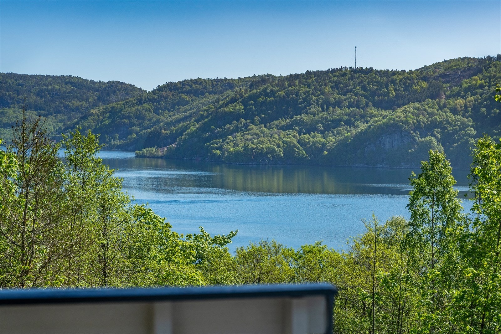 Utsikt fra terrassen mot Lenesfjorden Galleribilde