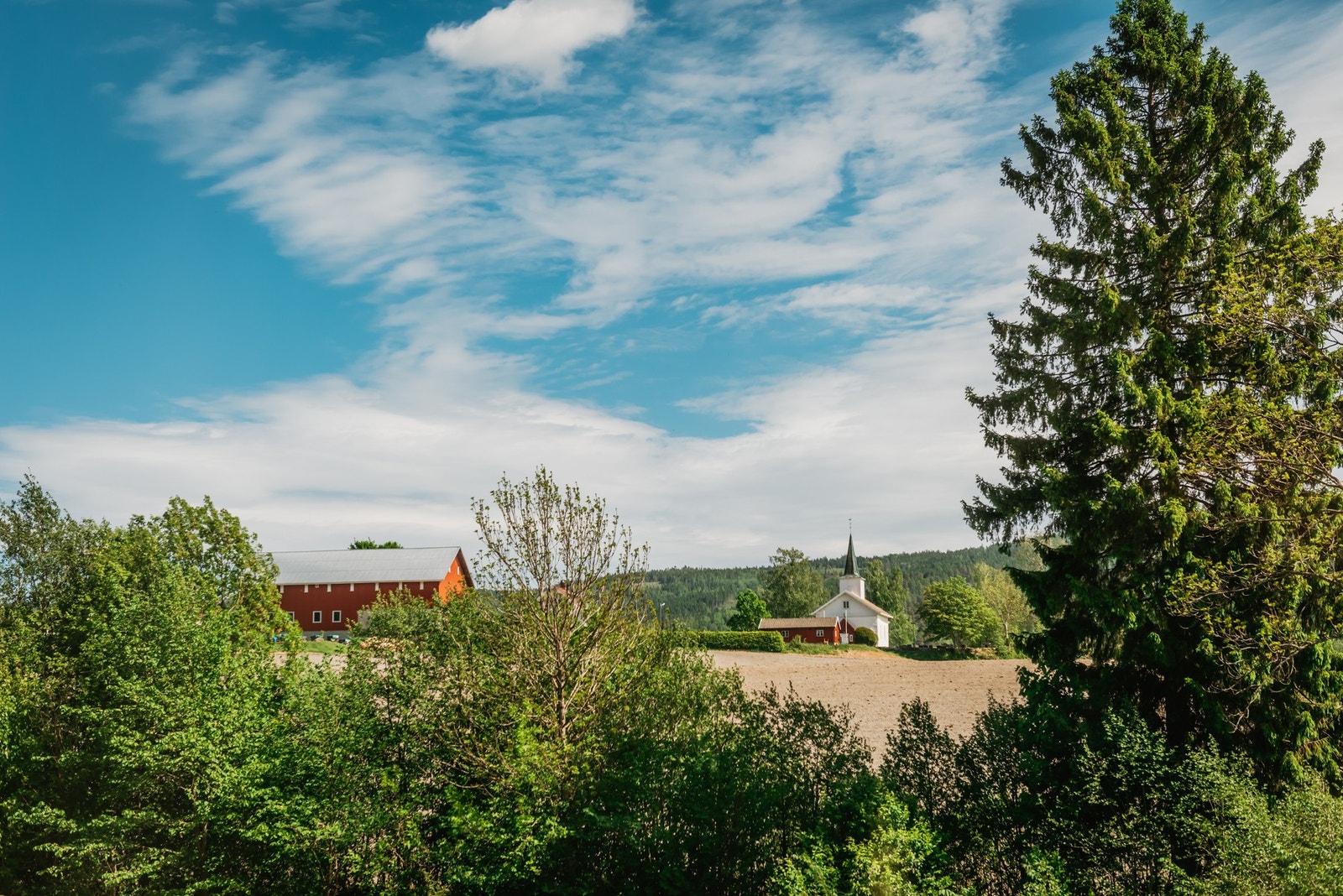 Utsyn fra stua. Galleribilde
