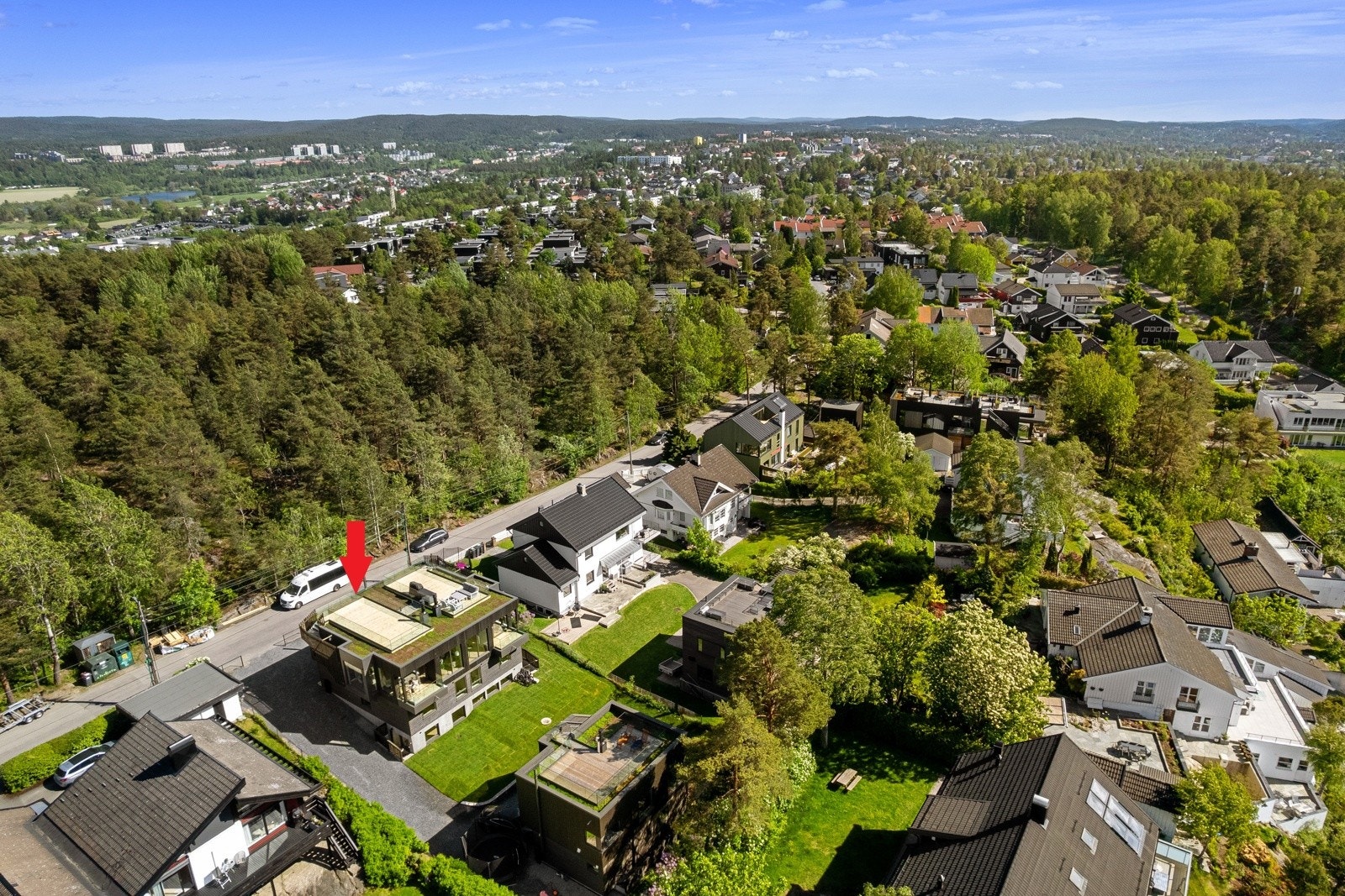 Friområde rett over veien Galleribilde
