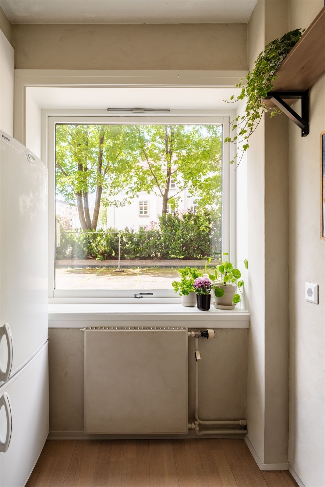 Kjøkkenventilator med avtrekk ut sørger for god utlufting under matlaging. Galleribilde