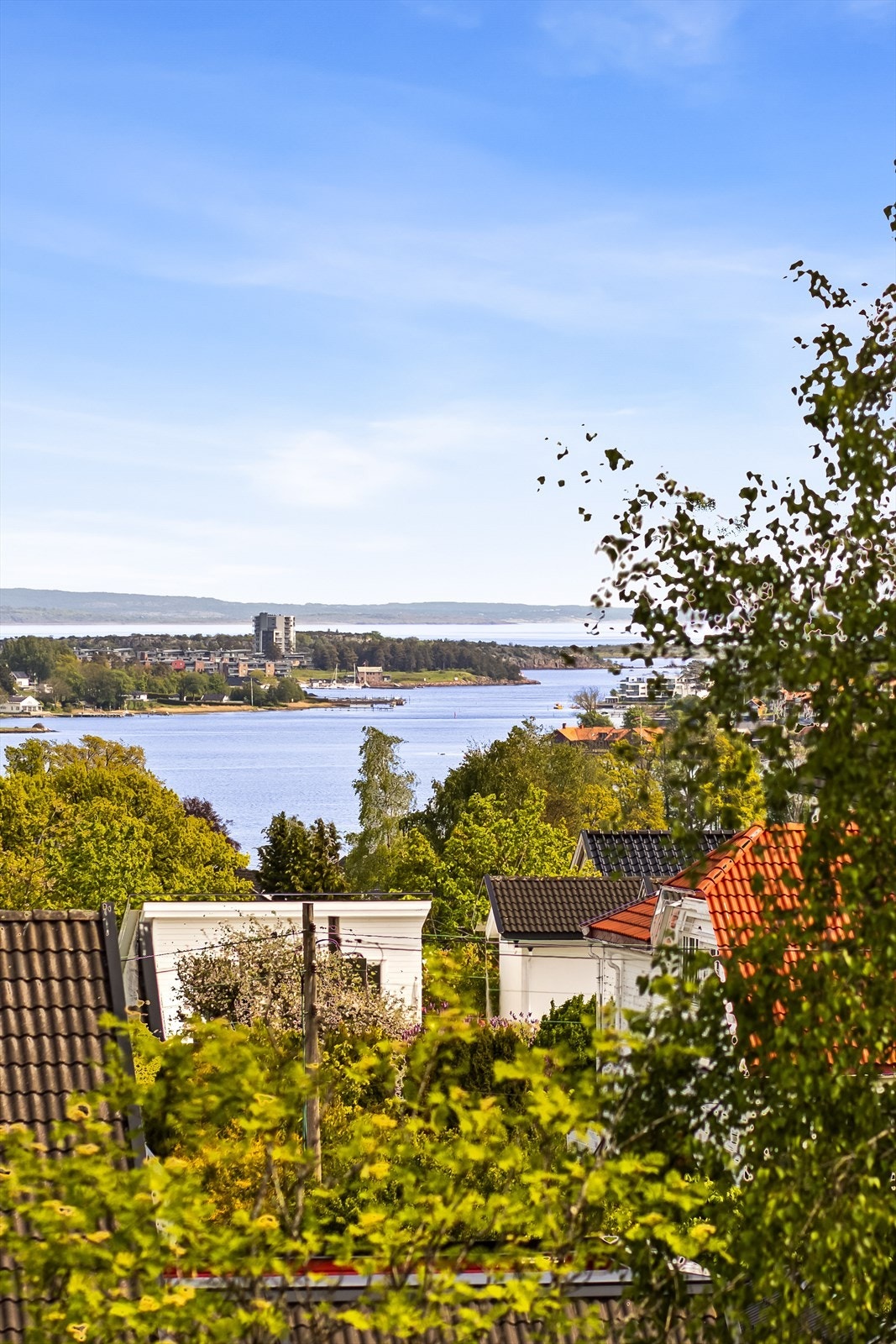 Utsikt mot Jarlsø og Østfoldsiden. Galleribilde