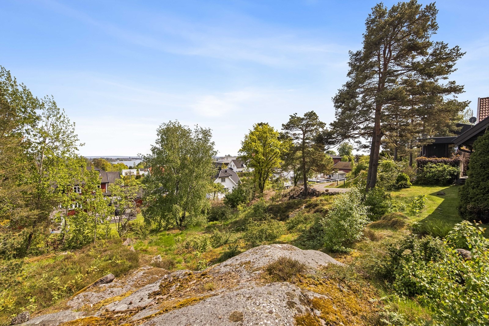 På forsiden av huset er det mye fin naturtomt. Galleribilde