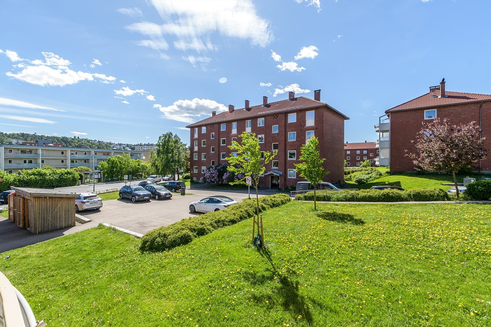 Utsikt. Galleribilde