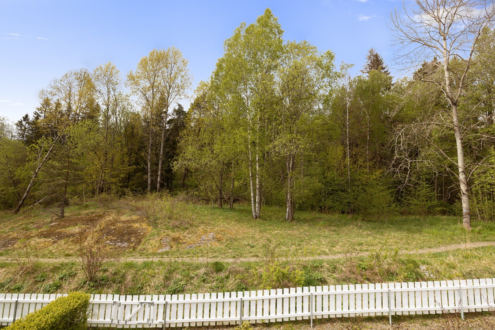 Rådyr og fugleliv kan oppleves rett utenfor terrassen. Galleribilde
