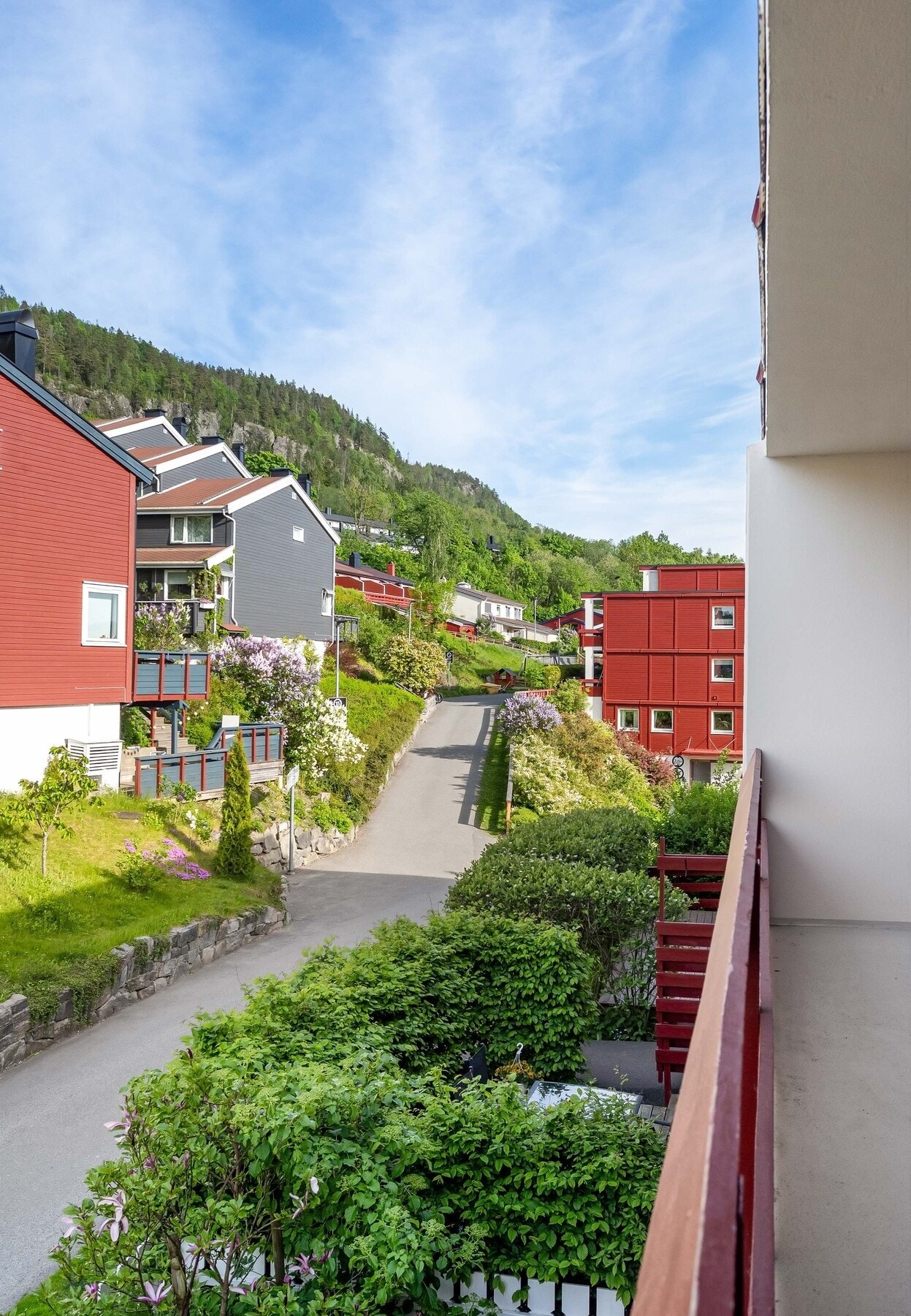 Koselig barnevennlig og bilfritt tun! Galleribilde
