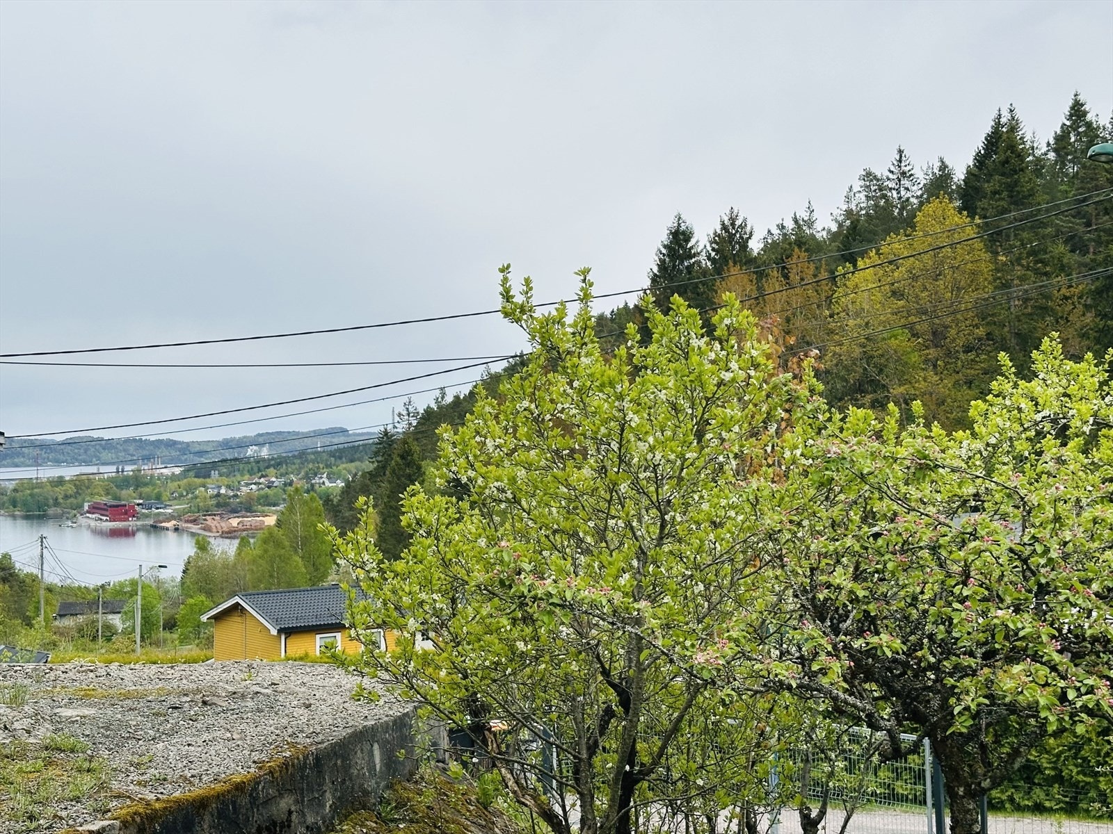 Sjøgløtt fra tomten Galleribilde