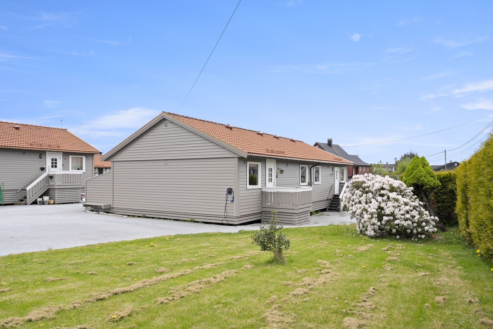 Felles uteområde med plen og beplantning. Galleribilde