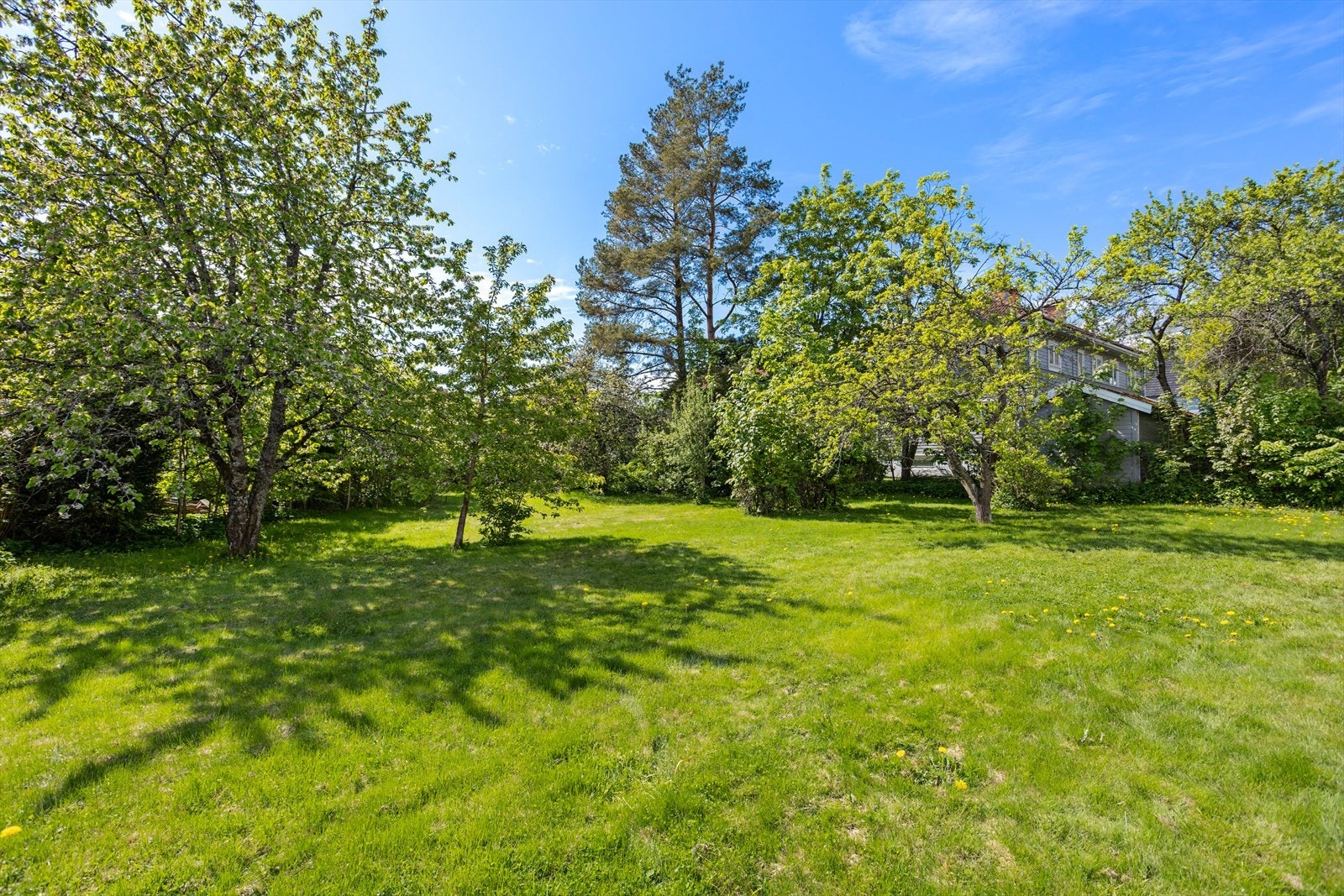 Sameiet disponerer en stor, flat tomt med plen og beplantning. Galleribilde