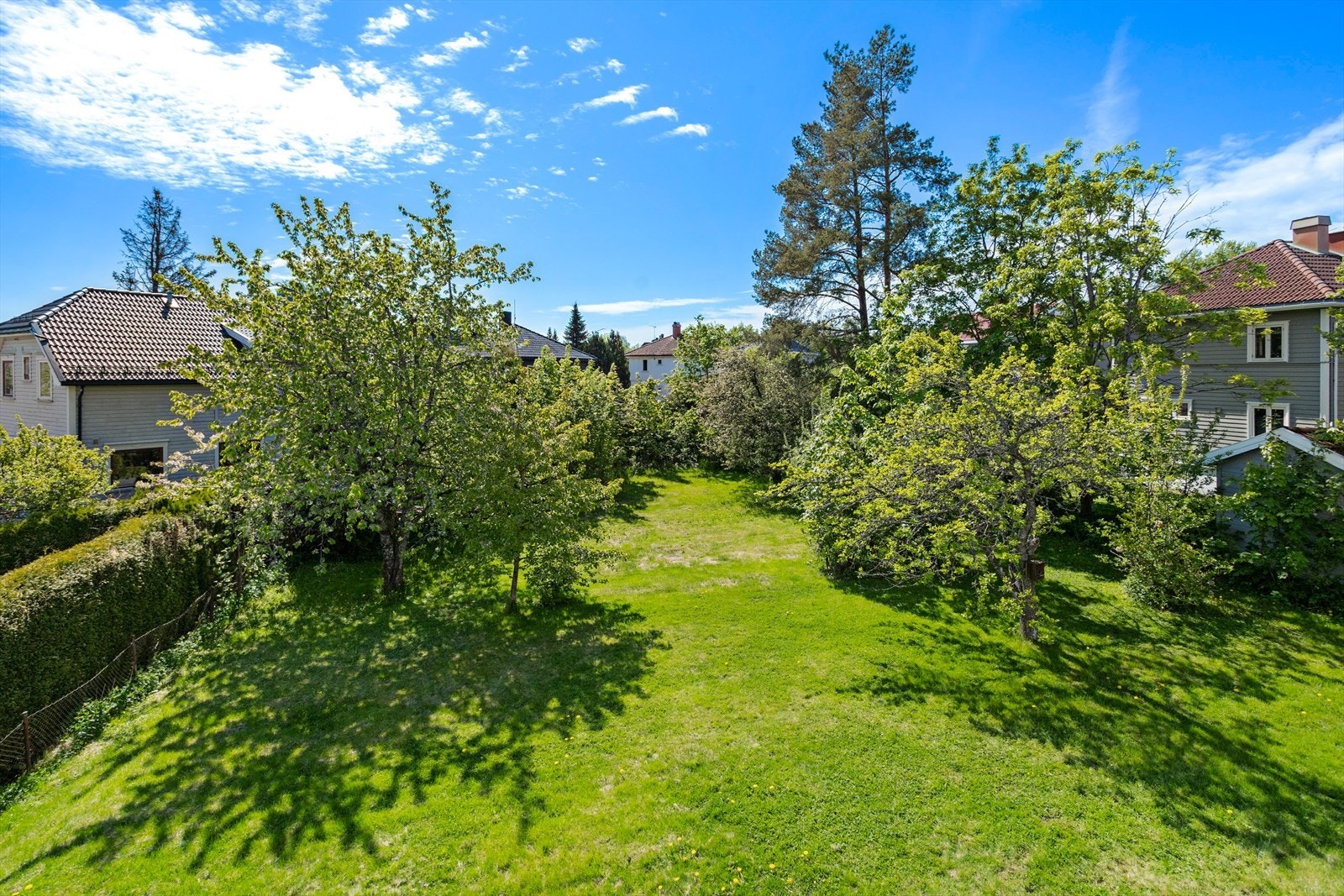Oversikt over det grønne og skjermede fellesarealet. Galleribilde