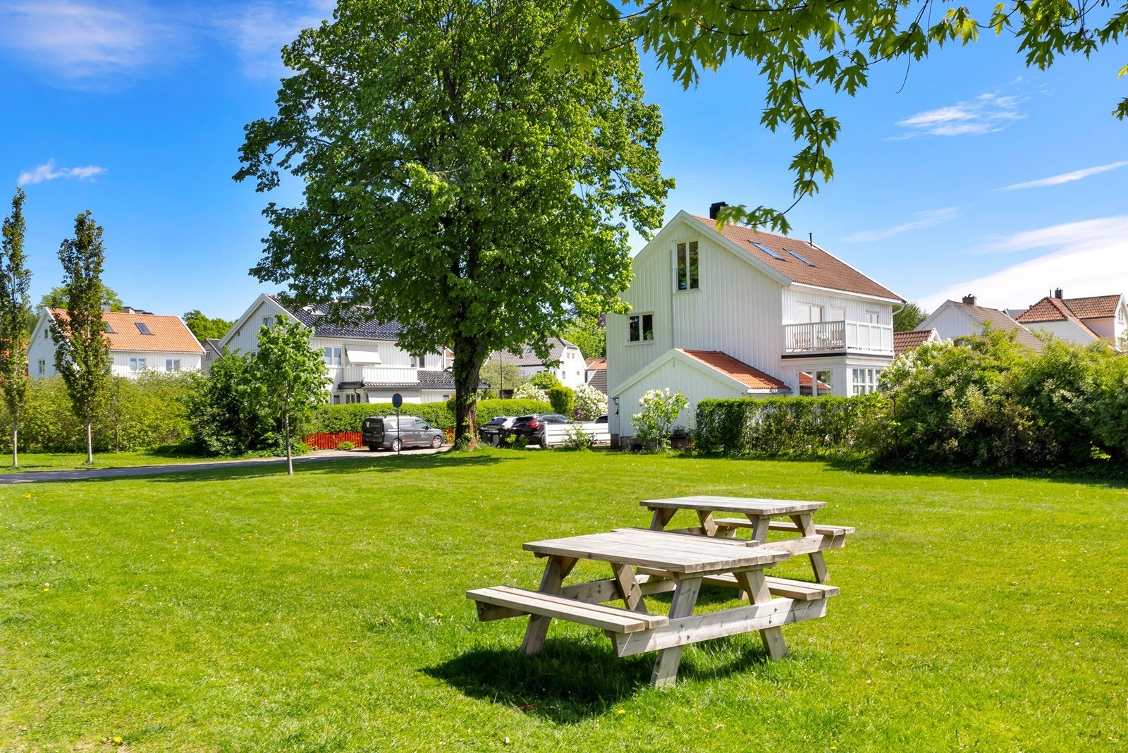 Boligens sett fra parken Galleribilde