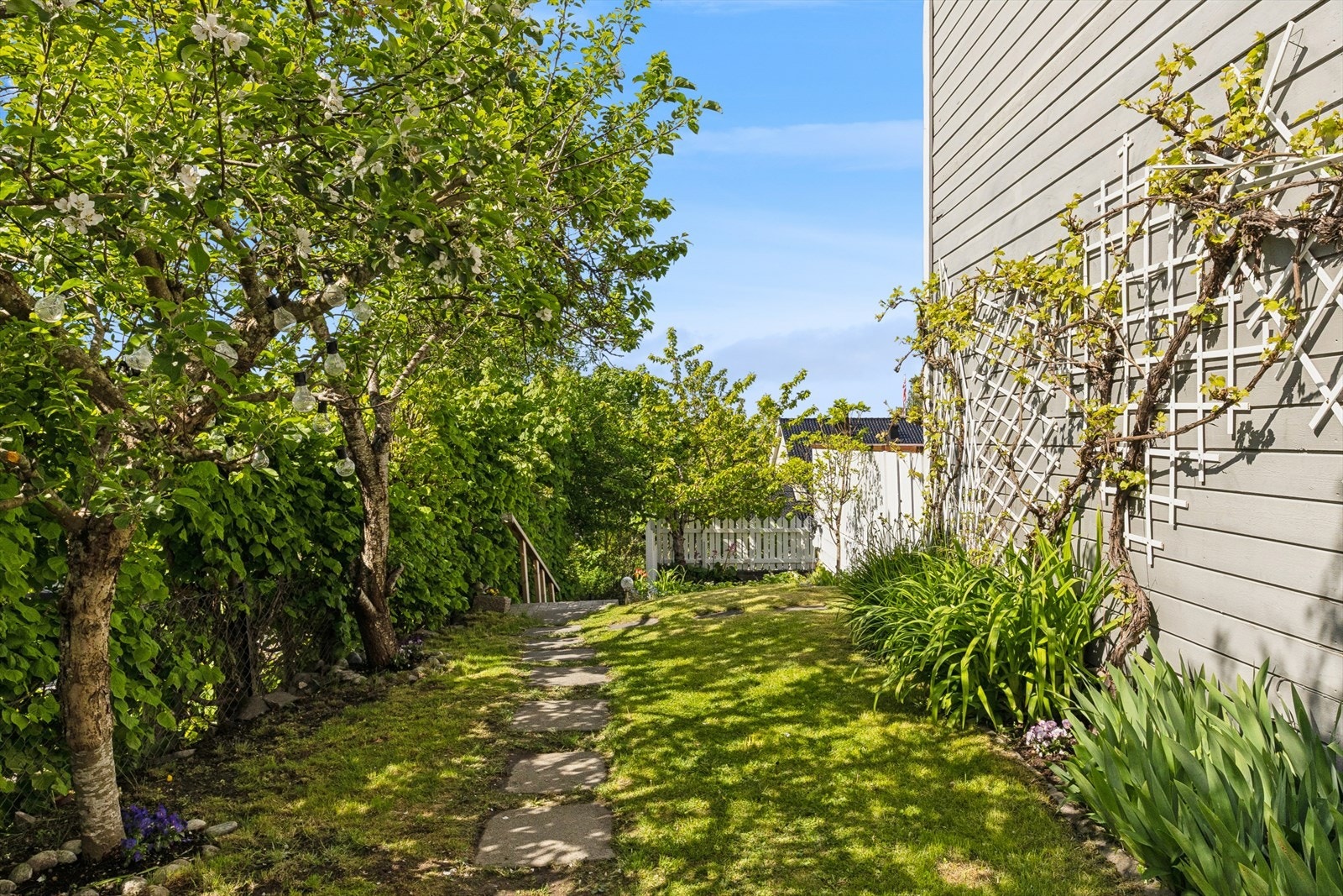Idyllisk hage med diverse beplantning. Galleribilde