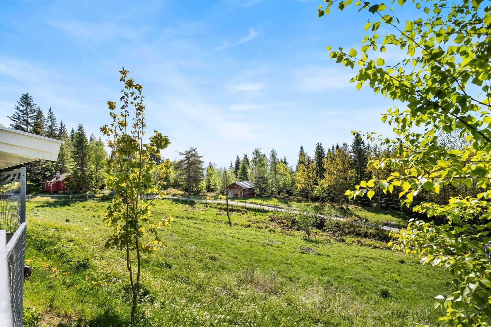 Landlig og fredelig beliggenhet med utsikt over egen tomt. Galleribilde