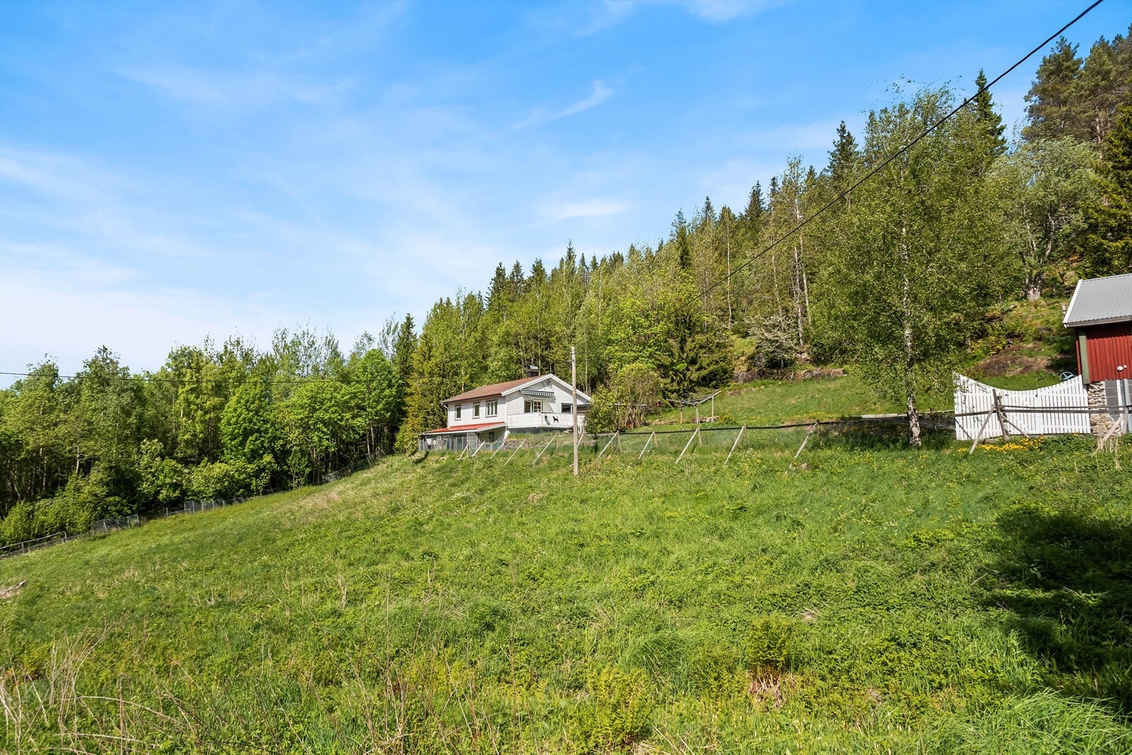 Eiendommen ligger usjenert til, omgitt av skog og natur. Galleribilde