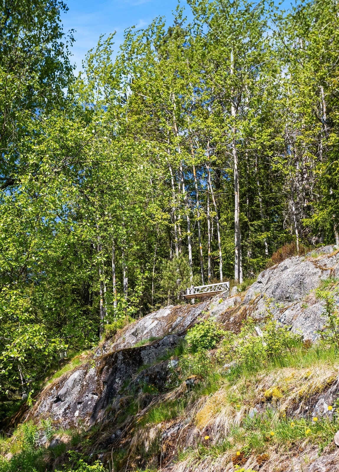 Tomten har naturskjønne elementer som fjellknauser og etablert vegetasjon. Galleribilde