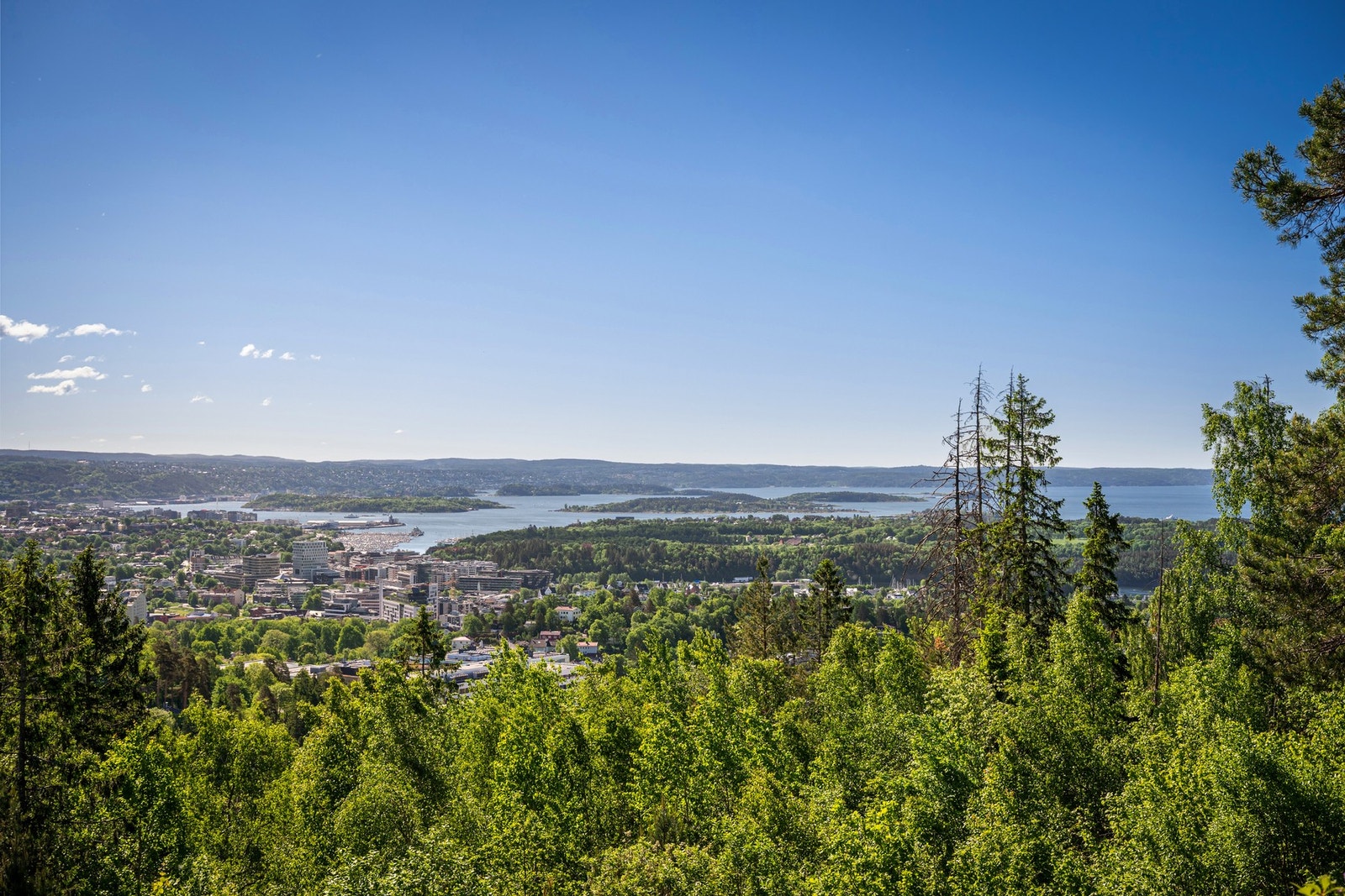 Utsikt fra terrasse Galleribilde
