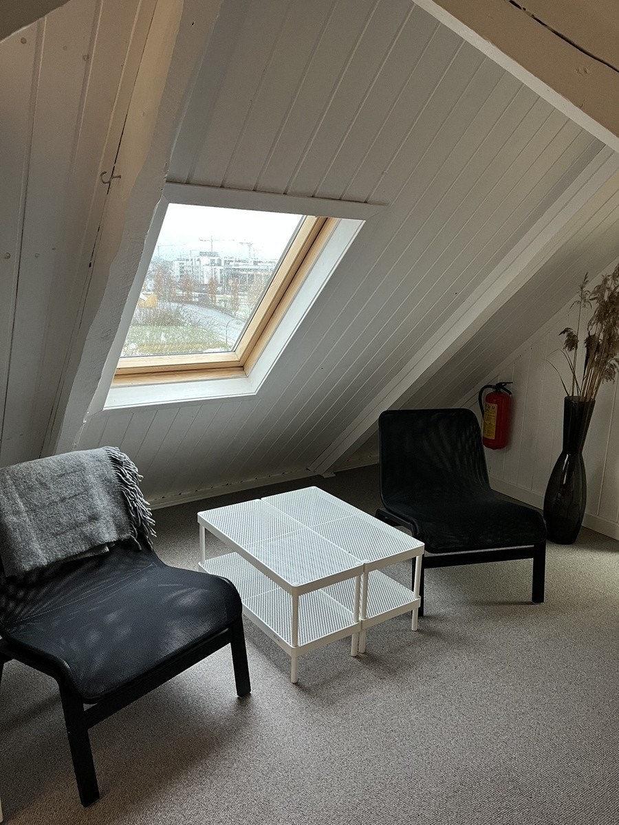 Stue loft Galleribilde
