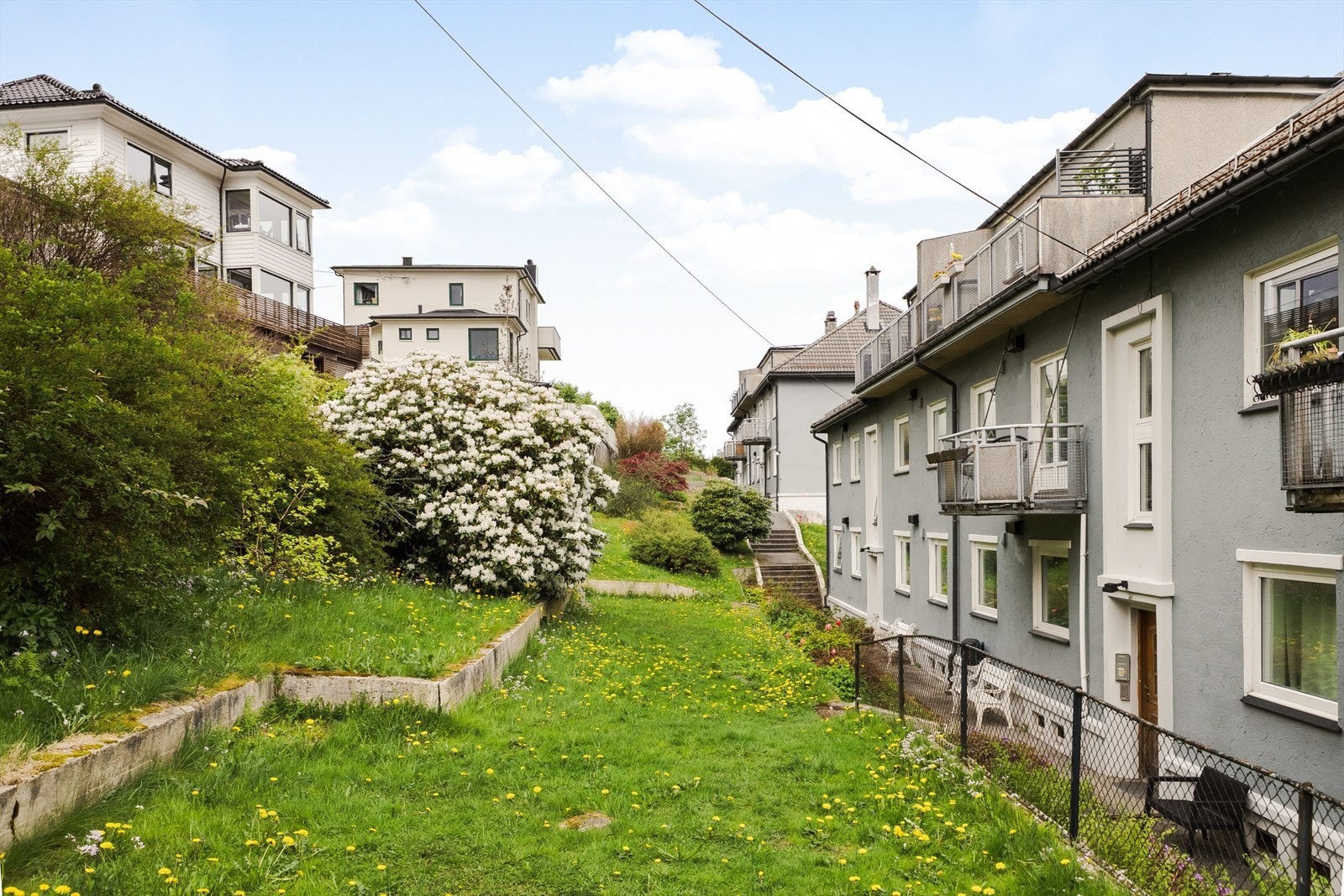 Felles hage Galleribilde