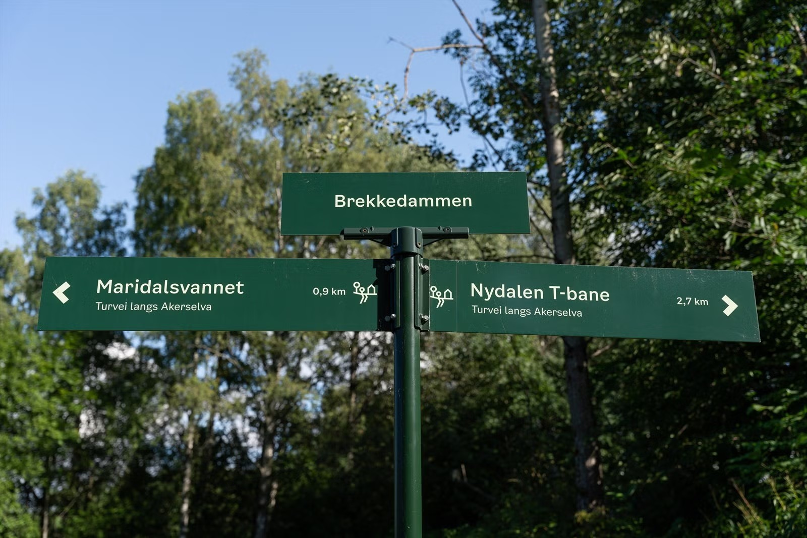 Leiligheten ligger i et område med svært gode turmuligheter. Galleribilde
