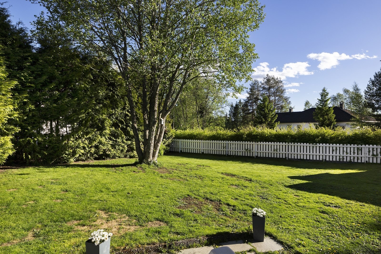 Inngjerdet, frodig hage med gressplen, busker og beplantning. Galleribilde