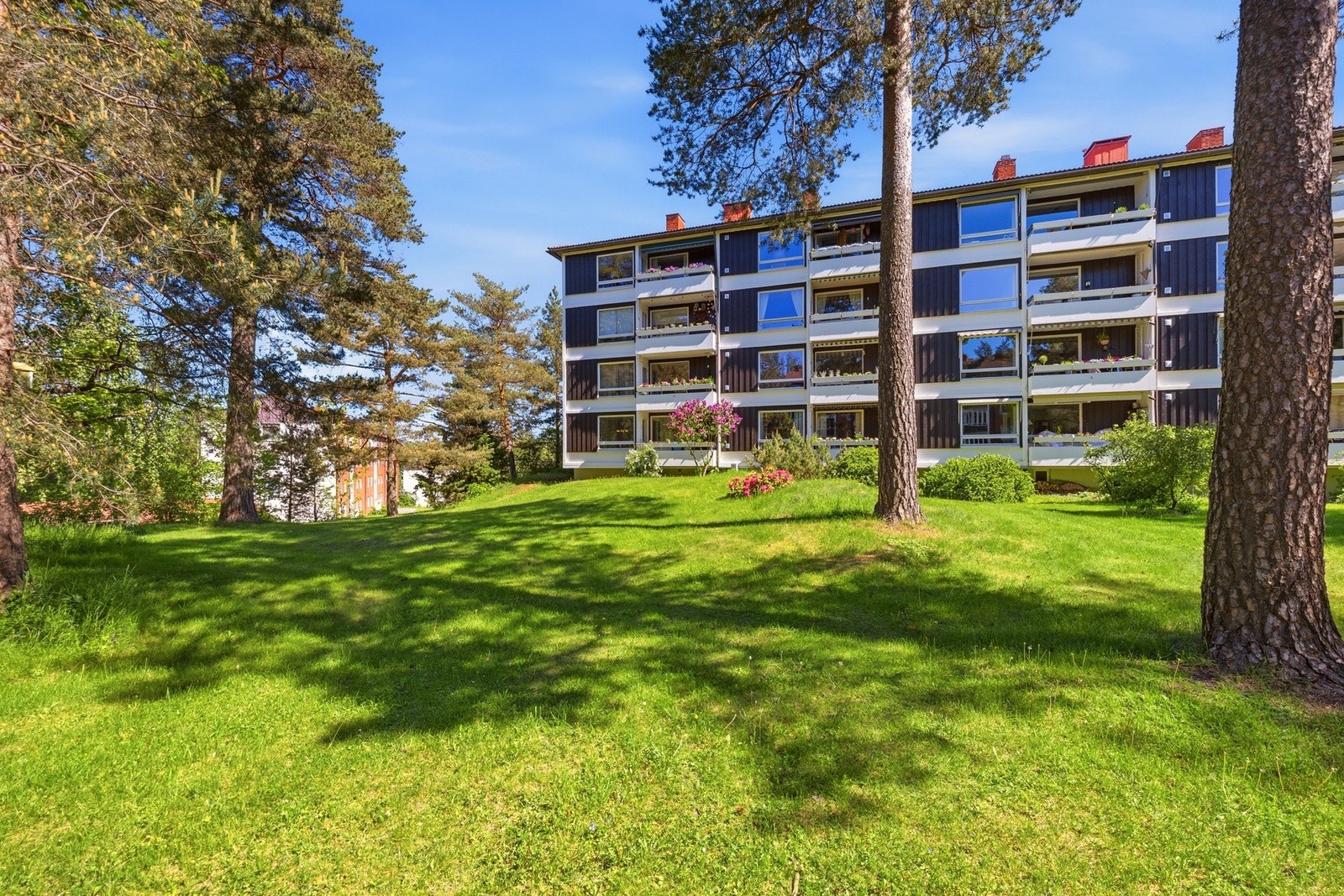 Velkommen til en hyggelig visning! Galleribilde