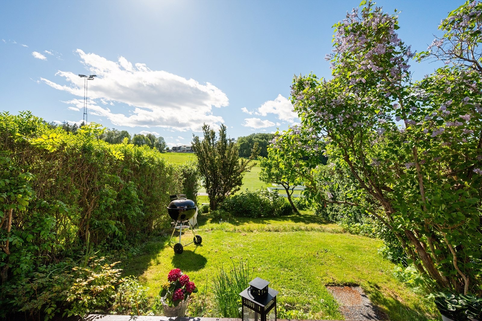Her finner man gressplen, blomster og hekk. Galleribilde