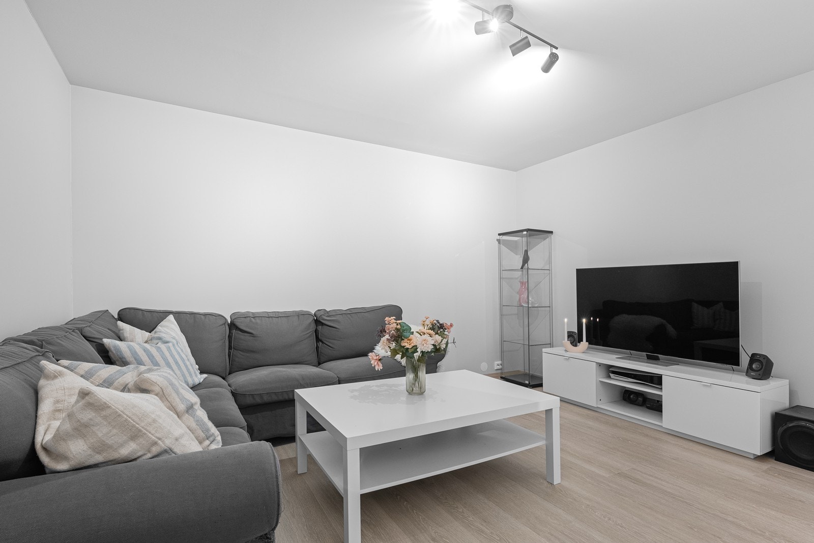 Romslig mediarom/stue Galleribilde