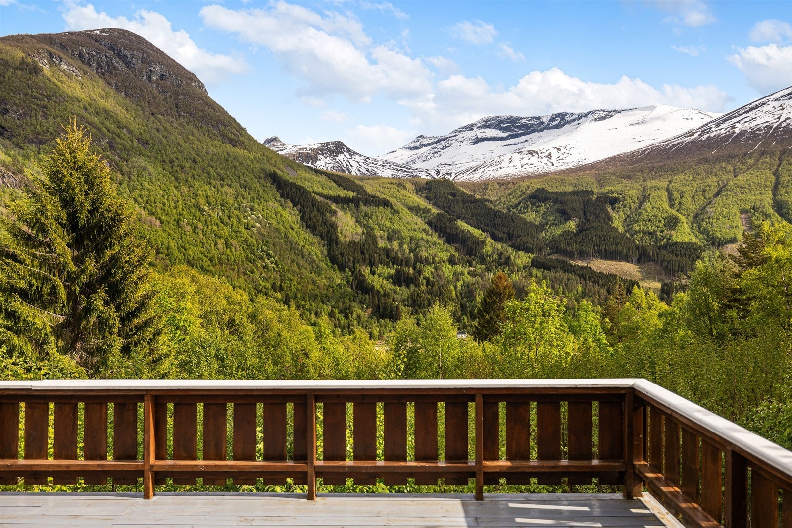 Fra terrassen kan du nyte utsikten over skog og fjell. Galleribilde