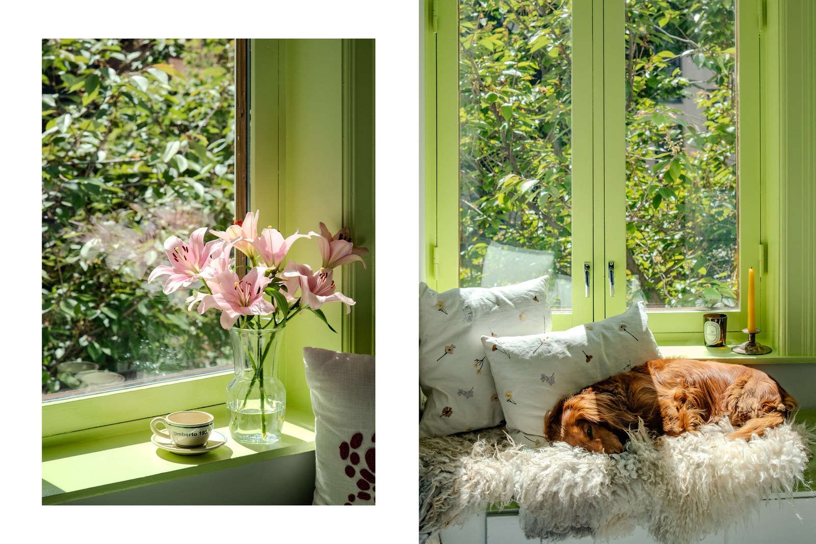 De store vindusflatene slipper inn godt med dagslys og er malt i en frisk grønnfarge som rammer inn utsynet mot de grønne omgivelsene utenfor. Galleribilde