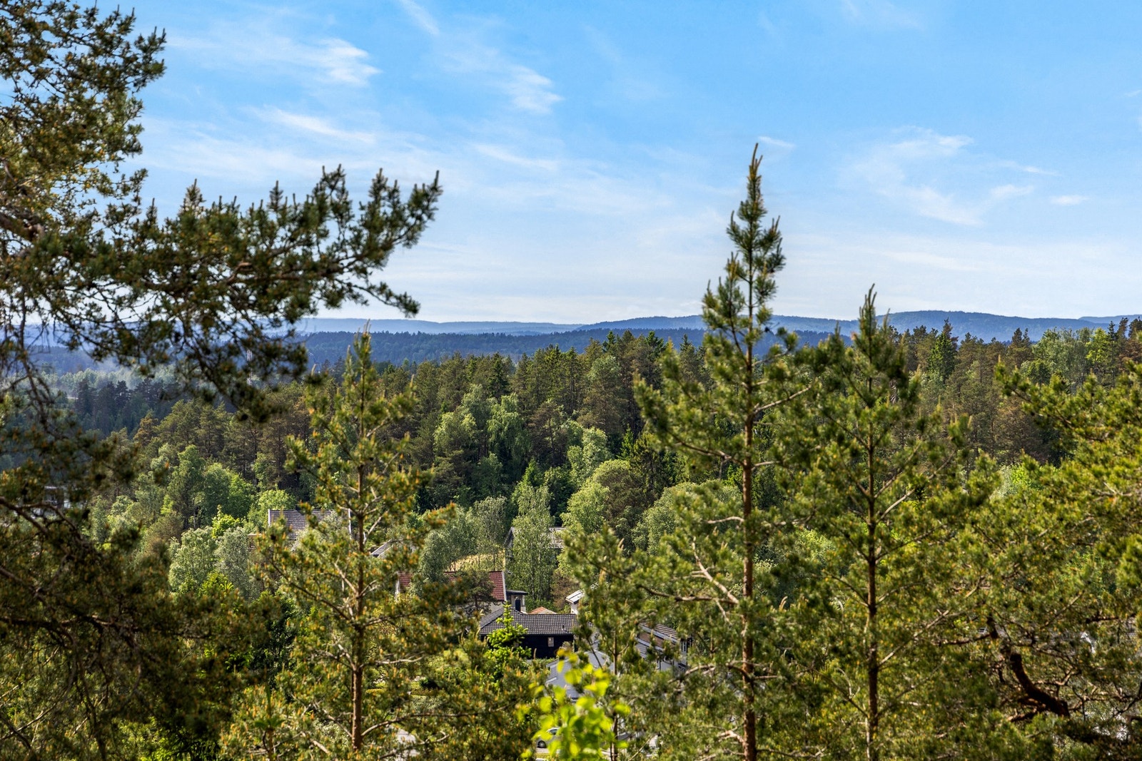 Utsikt fra terrassen Galleribilde