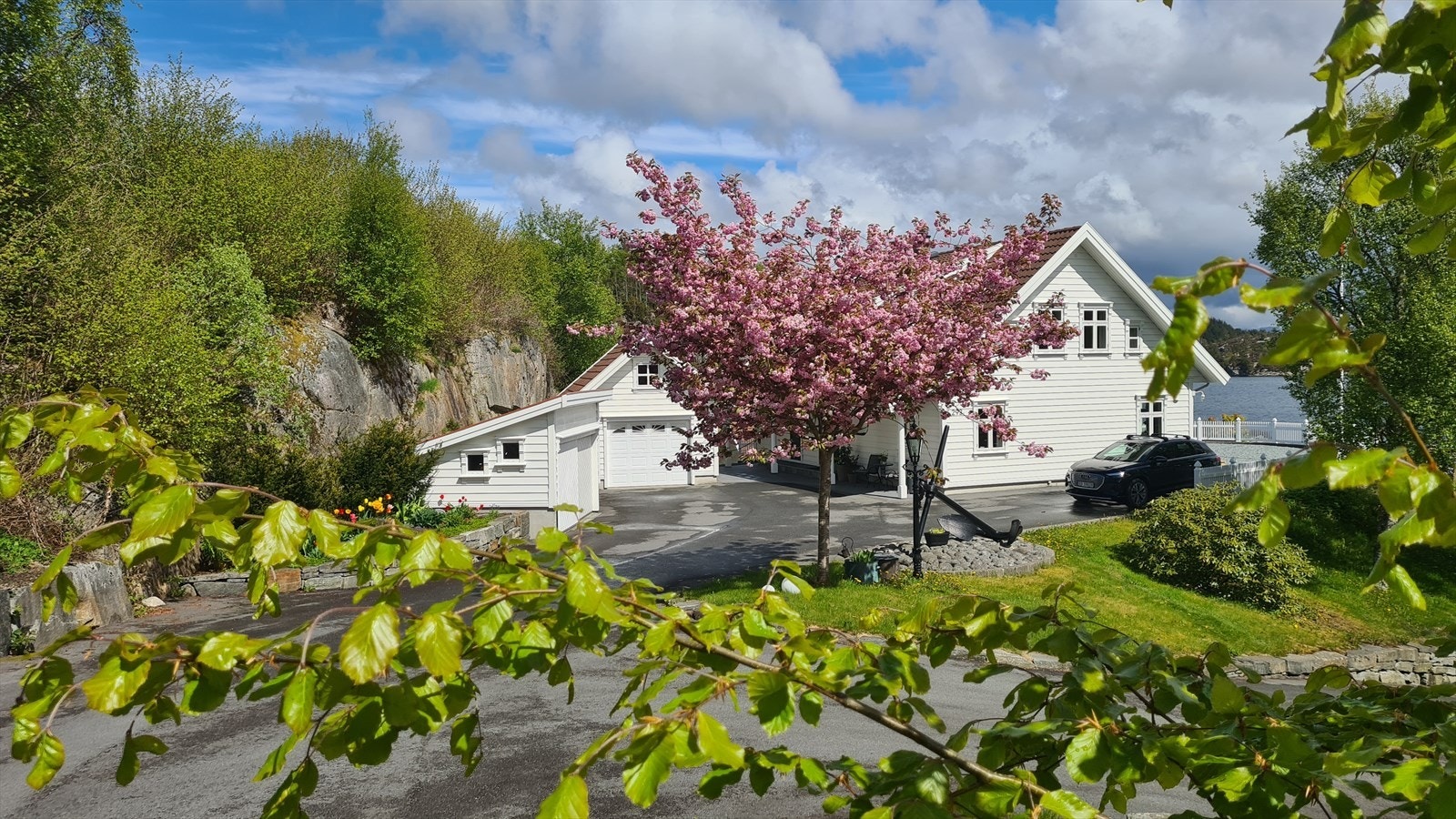 Kirsebærblomstring på gang Galleribilde