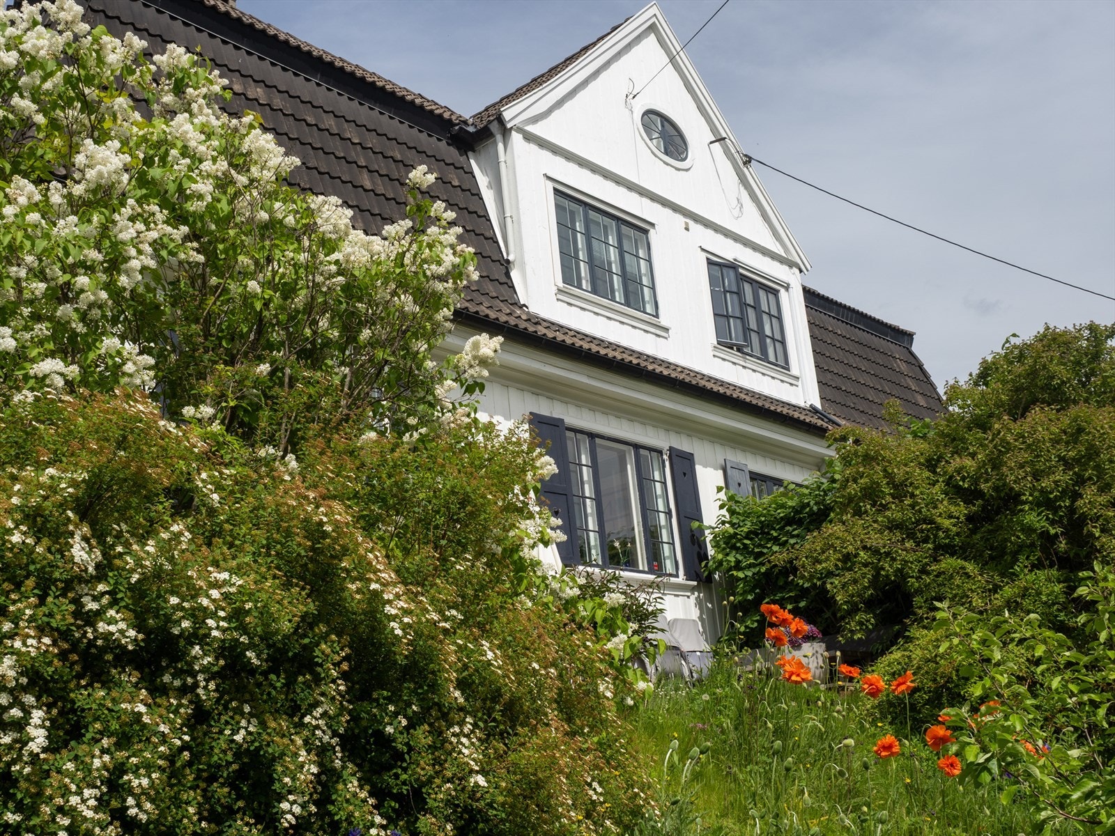 Selgers eget bilde | Hagen i full blomst. Galleribilde