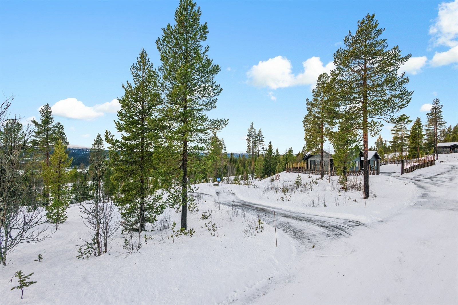 For de eventyrlystne finnes Høyt og Lavt klatrepark med løyper og ziplines for alle ferdighetsnivåer. Galleribilde