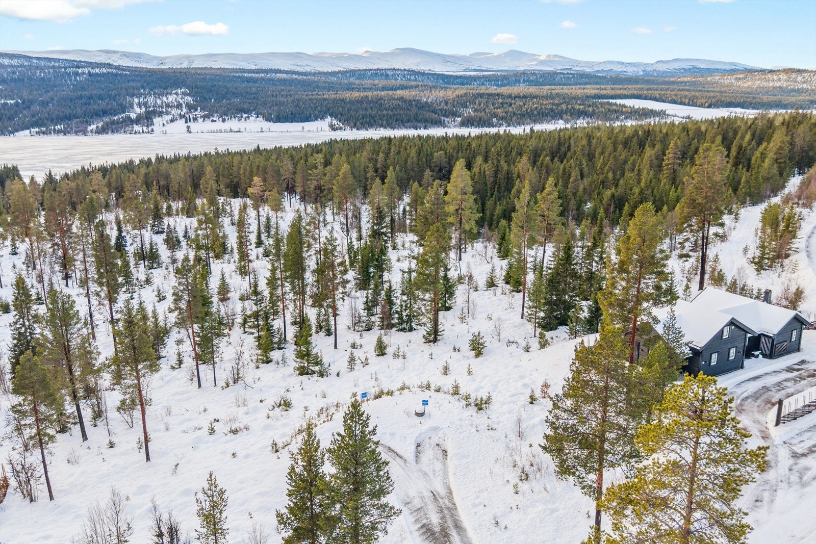 Her kan du utforske fjellet fra hesteryggen med guidede turer til blant annet Valsfjell. Galleribilde