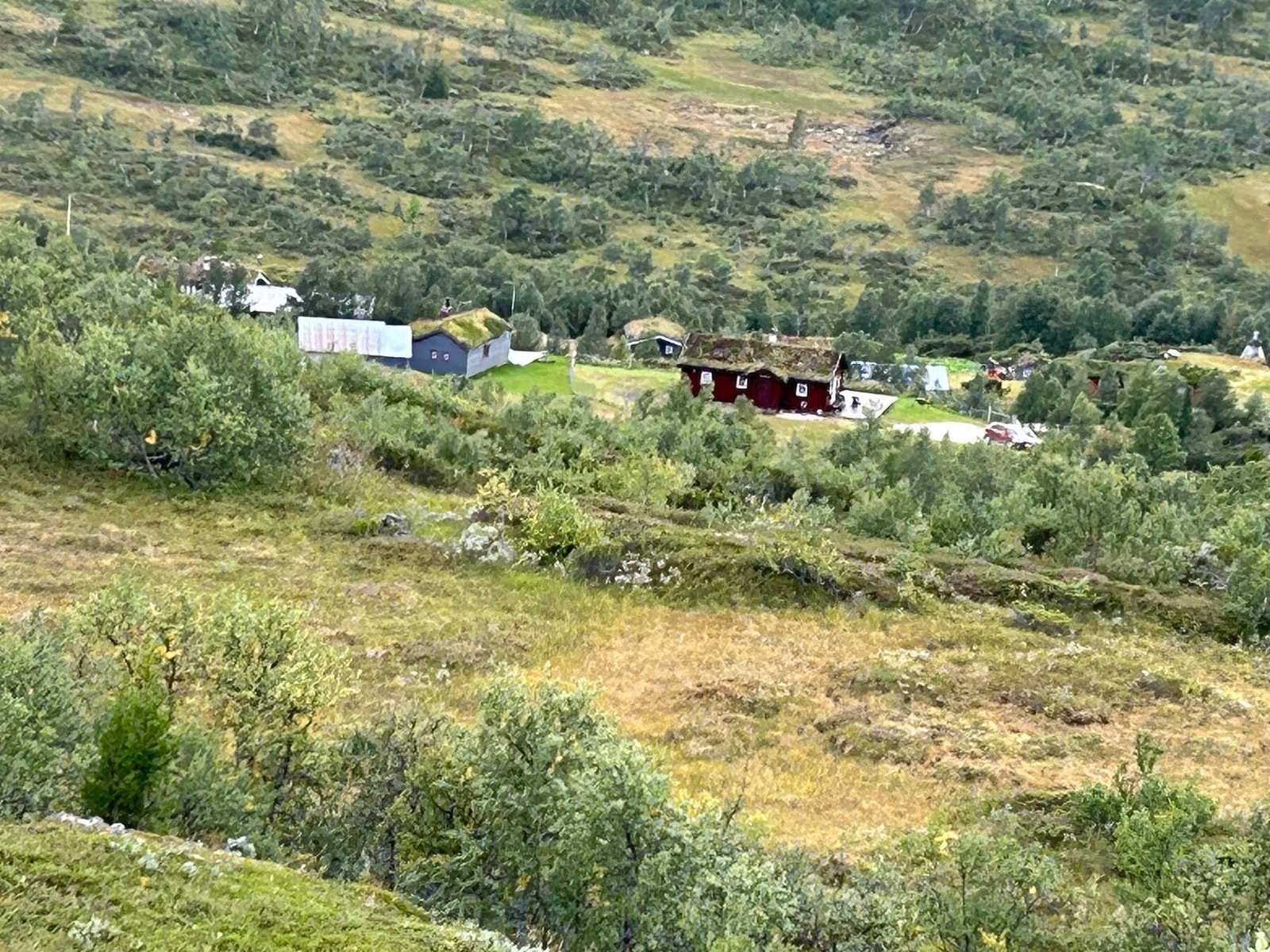 Selgers bilde - Seter i Nekjådalen Galleribilde