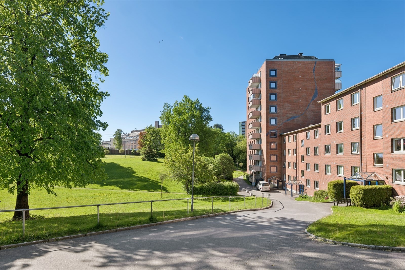 Grønne og flotte omgivelser Galleribilde