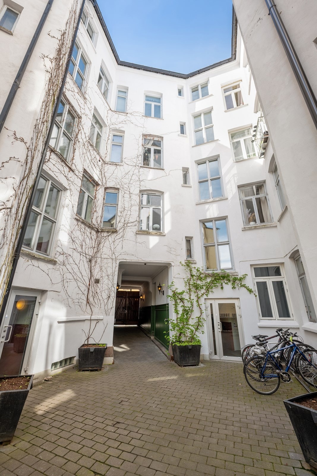 Koselig bakgård med klatreplanter og sykkelstativ. Galleribilde