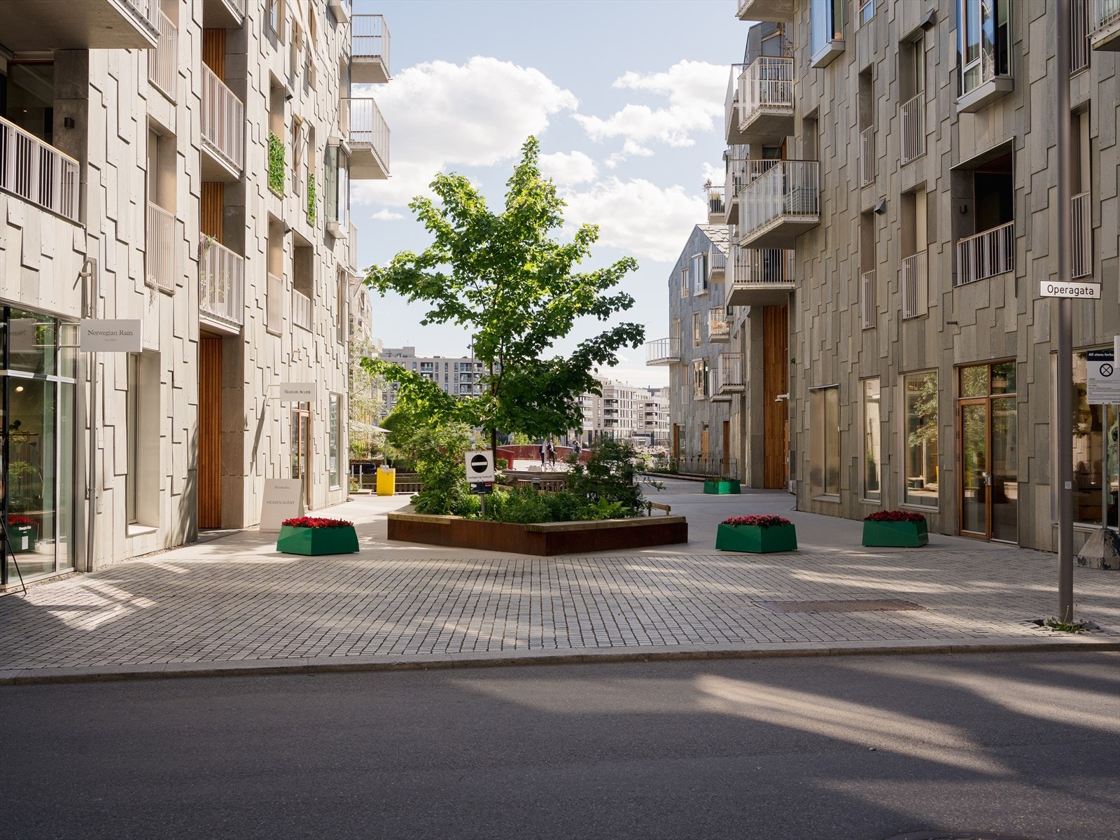 Nærområdet. Galleribilde