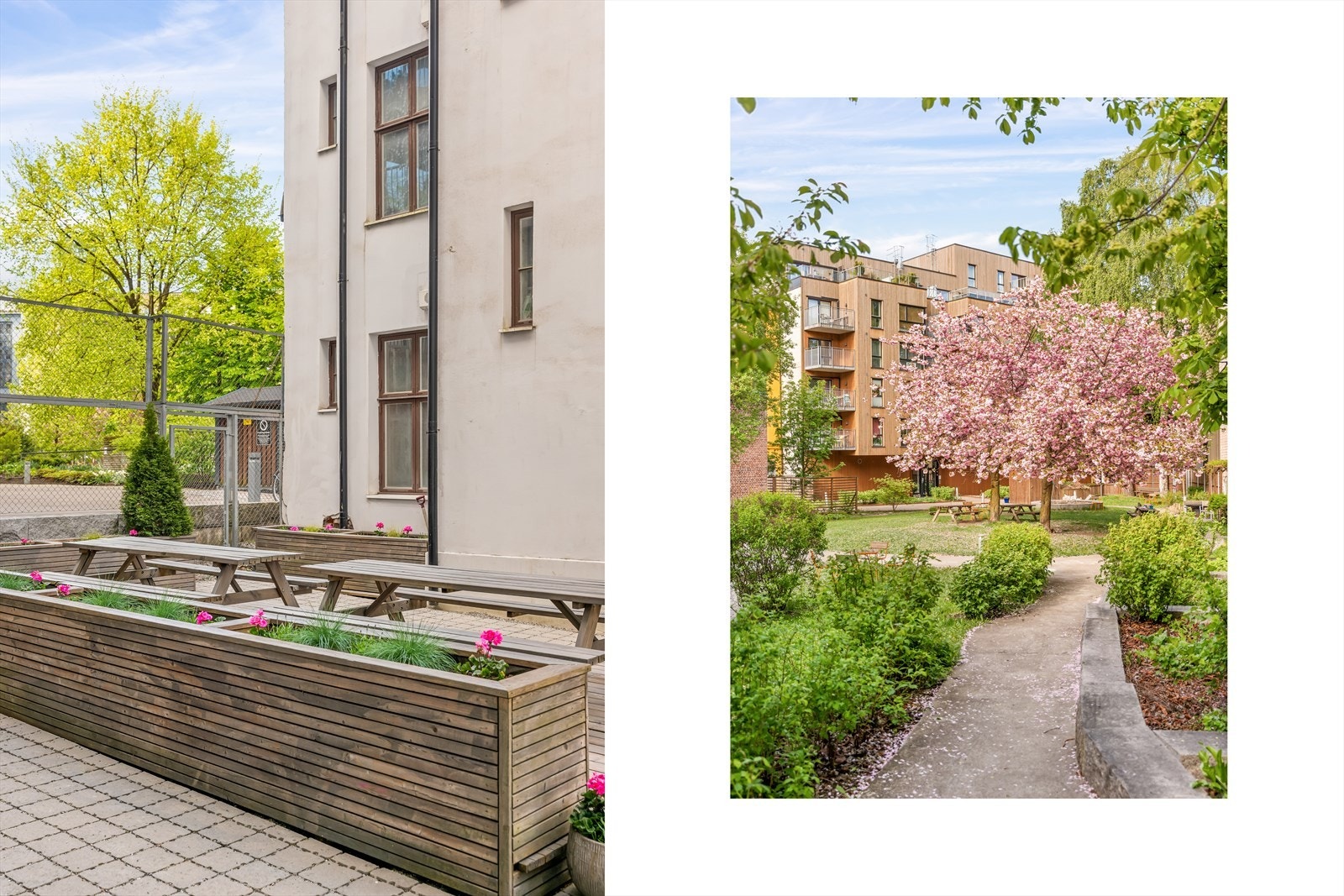 Koselig og sosial sitteplass med beplantning i bakgården for beboerne. Galleribilde