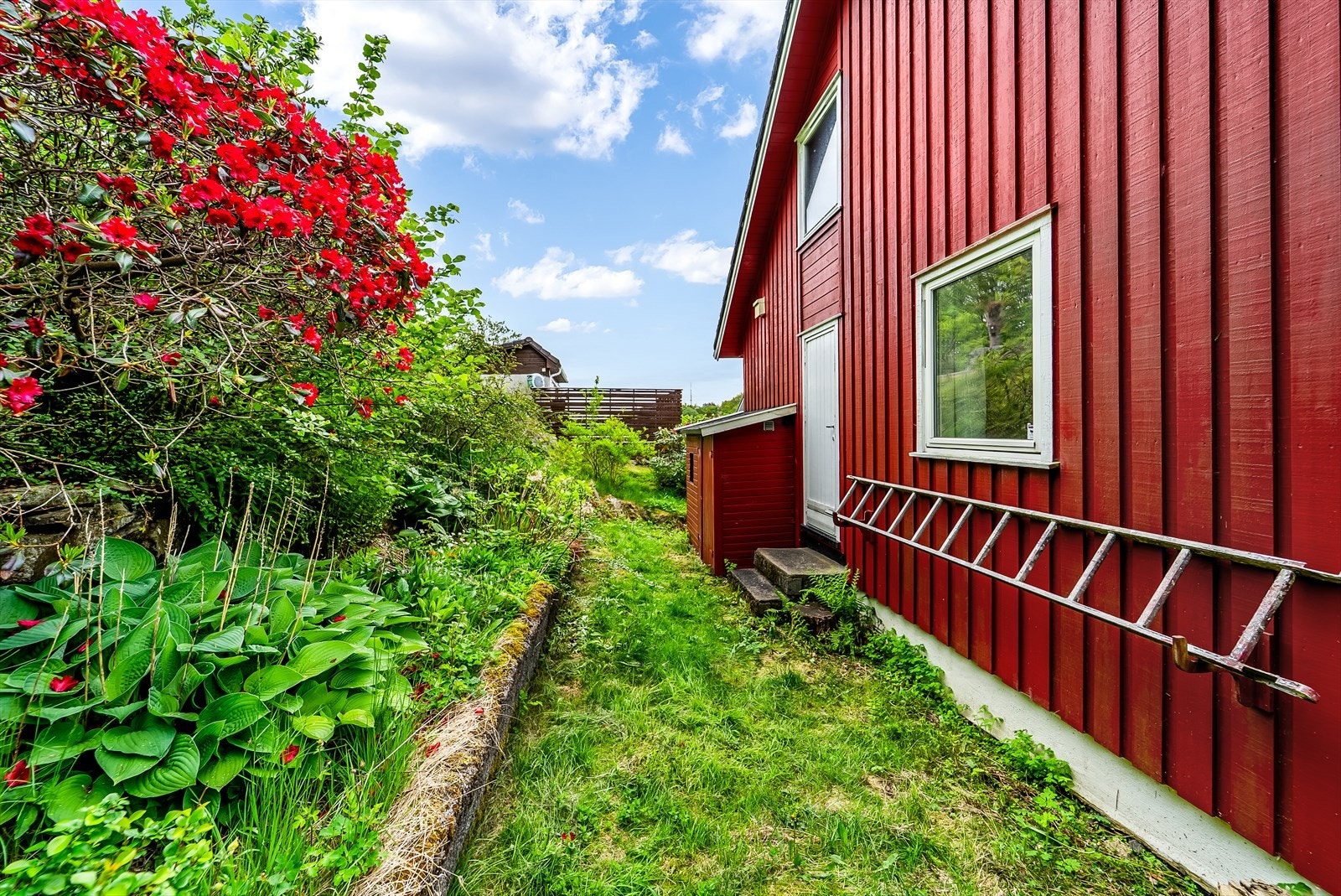 Området bak boligen. Galleribilde