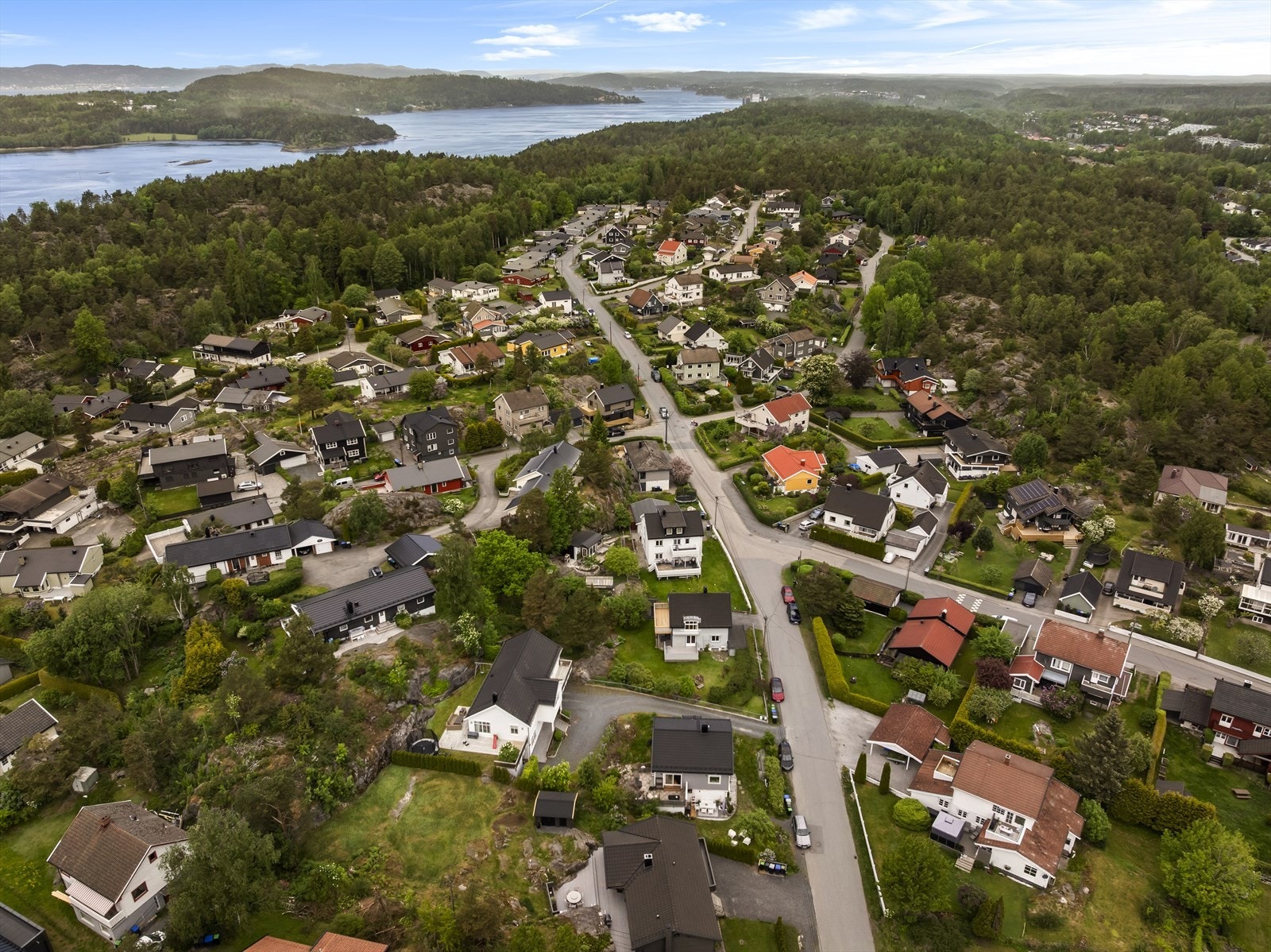 Mosseskogen byr ikke bare på flotte turmuligheter, men også historisk sus - her finner du deler av den gamle Kongeveien, hvor reisende ferdes for flere hundre år siden. Galleribilde
