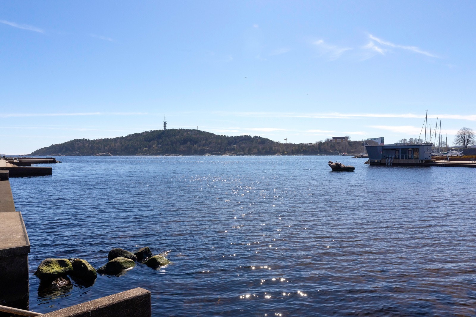 Nærområde Galleribilde