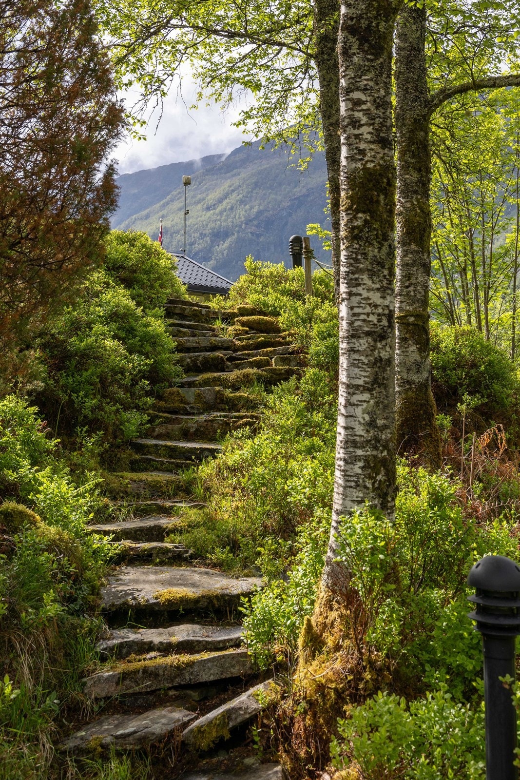 Hytten ligger vakkert til i terrenget, med fjellene, fjorden og det grønne landskapet som nærmeste nabo. Galleribilde