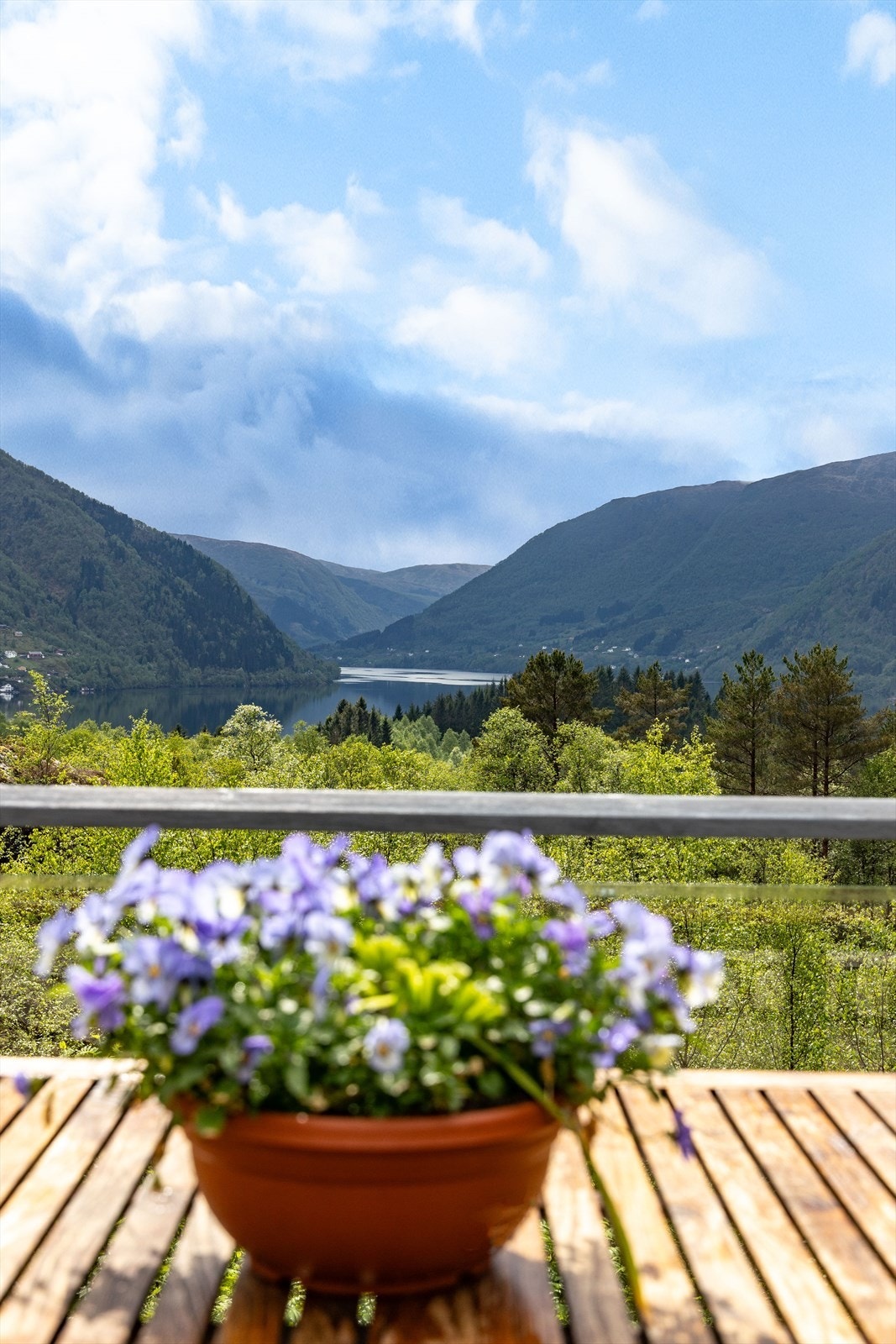 Flott utsikt mot fjord og majestetiske fjell. Galleribilde