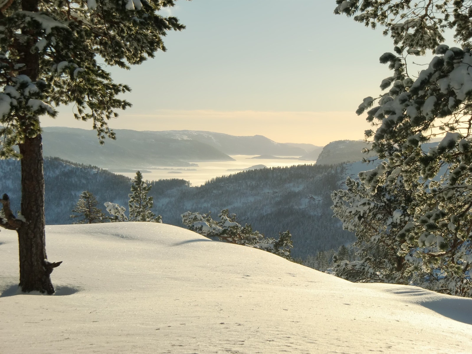 Vinterlandskap i Vrådal. Galleribilde
