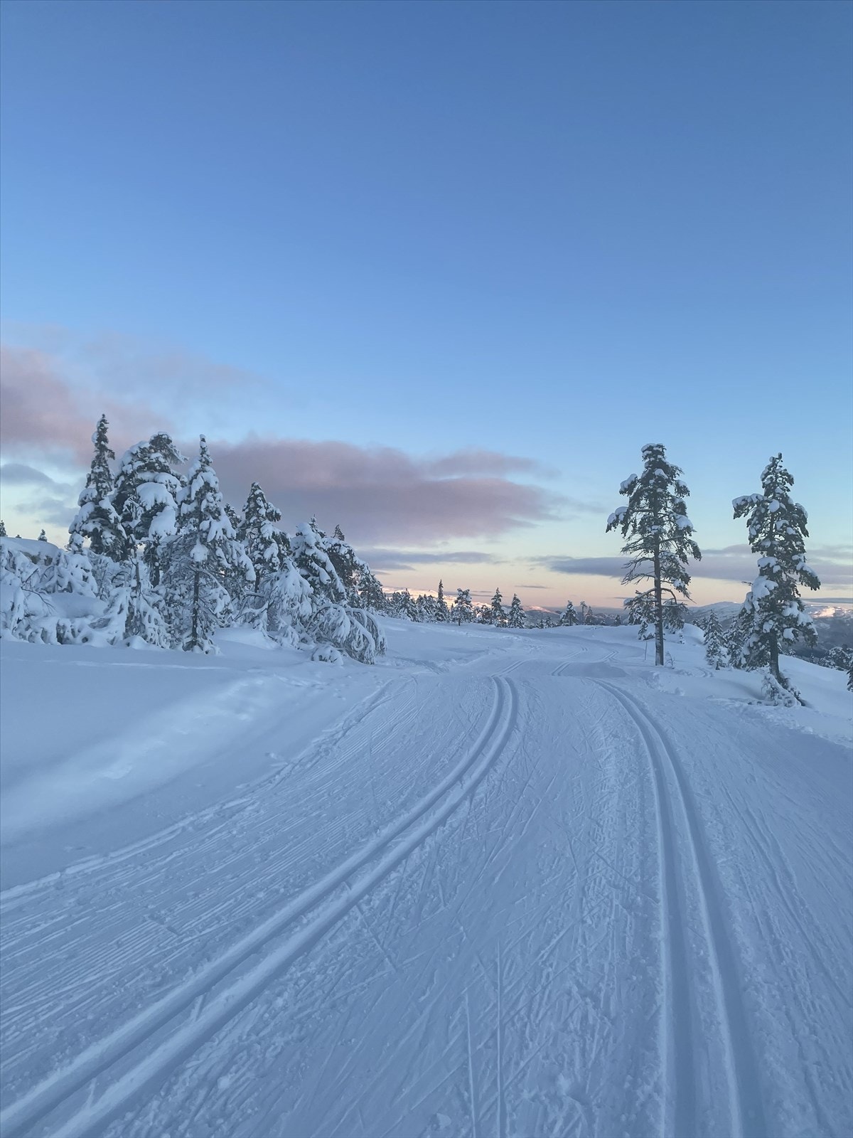 Med kun 300 meter til Vrådal Panorama Skisenter kan du spenne på deg skiene og skli rett ut i bakken. Galleribilde