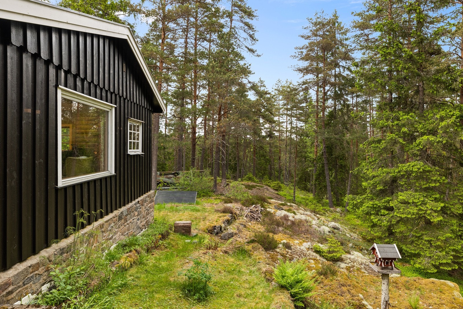Utsikt fra hytta mot den omkringliggende skogen. Galleribilde