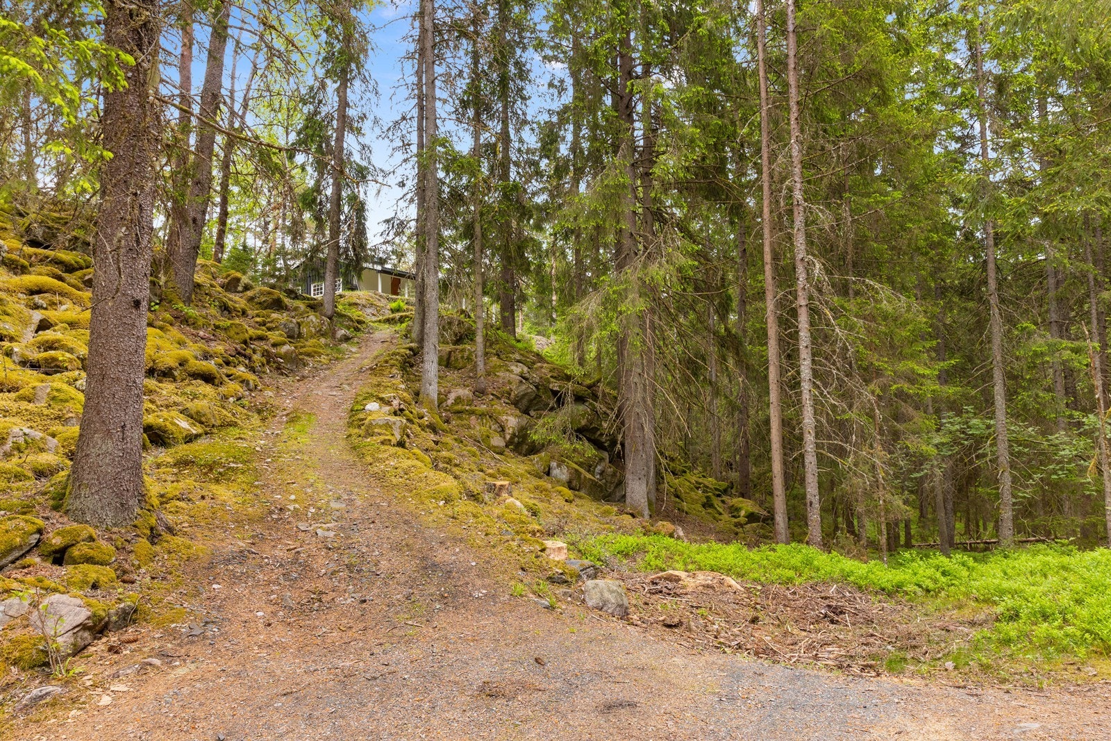 Fine turmuligheter på grusveier og i skogsterreng rett utenfor døren. Galleribilde