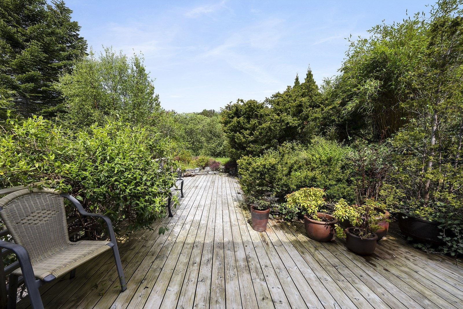 Terrasse på nordsiden av huset. Galleribilde